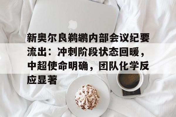 熊猫体育官方官网在线-新奥尔良鹈鹕内部会议纪要流出：冲刺阶段状态回暖，中超使命明确，团队化学反应显著
